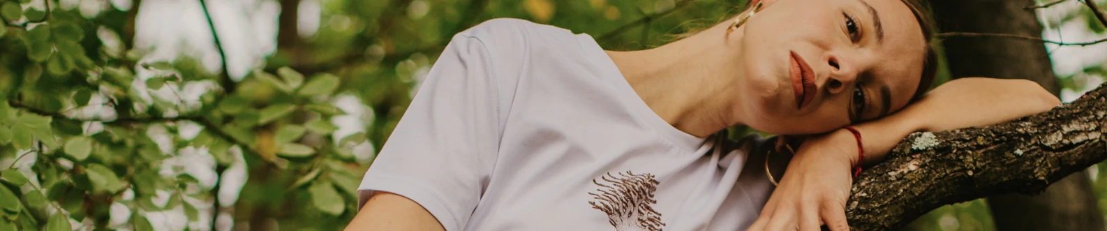 undefined banner